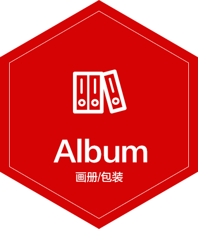 畫(huà)冊(cè)包裝